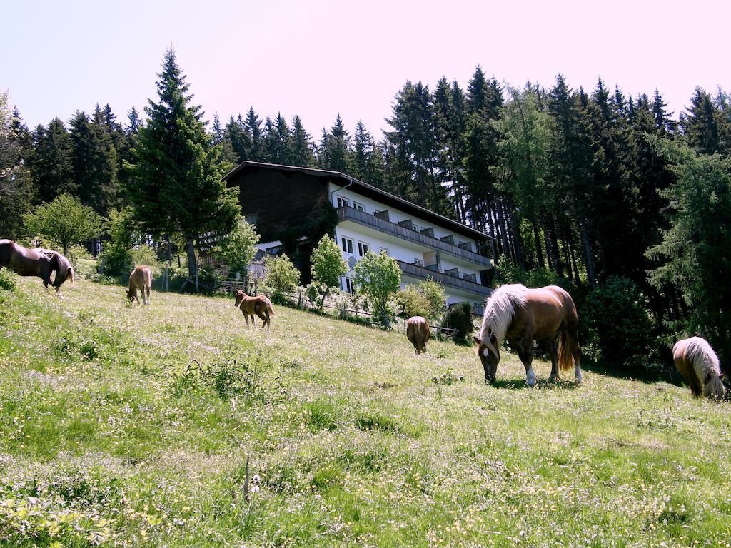 Hotel Garni Gaestehaus Karin Sankt Stefan im Lavanttal Экстерьер фото